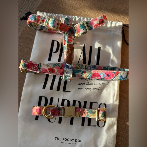 The doggy dog x rifle paper collar and harness set